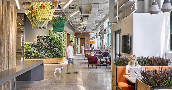 Biomimicry design