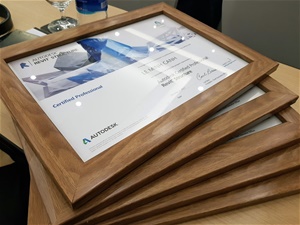 Chứng chỉ Revit Professional
