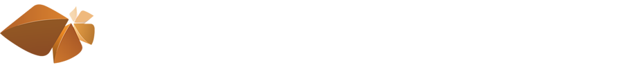 autodesk product design collection