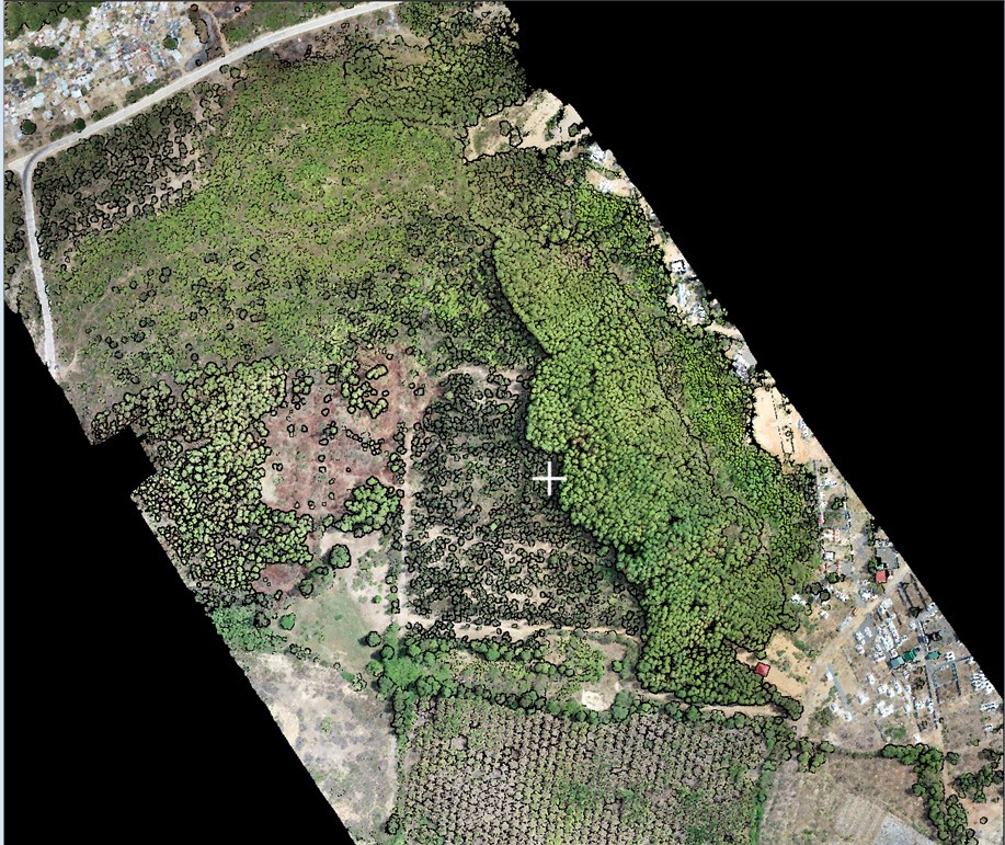 Những lợi ích mà LiDar mang lại trong việc quản lý rừng