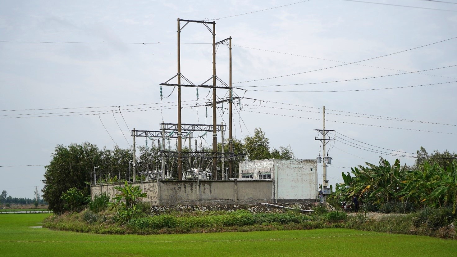 Khảo sát địa hình TBA 110kV Tân Thạnh và đấu nối trạm Tân Thạnh, tỉnh Long An